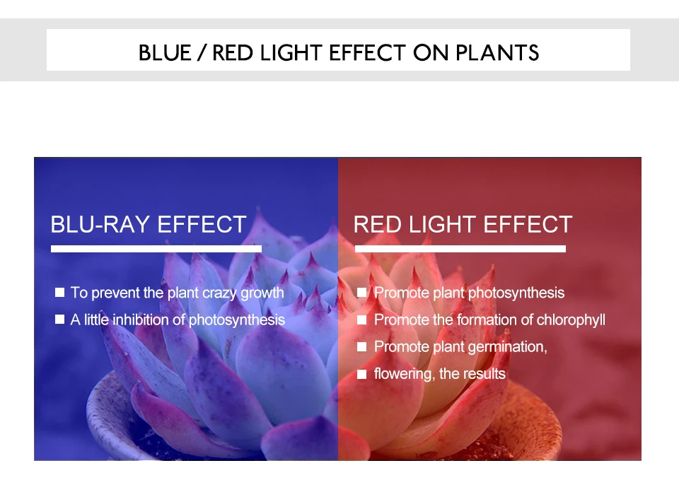 LED Grow Light Full Spectrum COB Chip AC220V 110V 20W 30W 50W DIY Grow LED Lamp For Plant Indoor Garden Hydroponic Grow Tent Box (4)