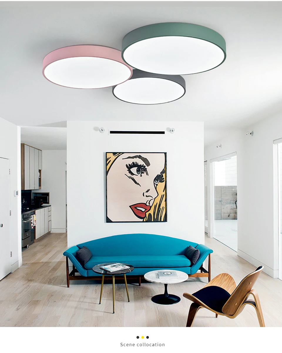 CEILING LIGHTS (2)