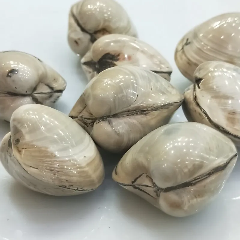 conew_img20190331154855