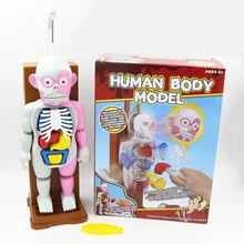 [Funny] Новинка, игрушка-кляп, Анатомия человека, трюк, шутка, подарок для детей, собранная игрушка, веселые игры, модель человеческого тела, модель 3D паззлов