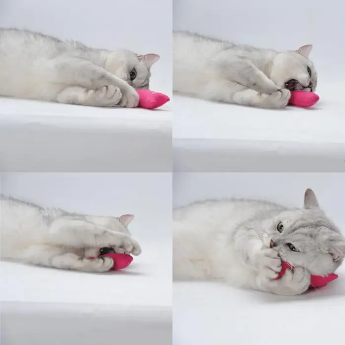 Милая и забавная Подушка, царапины, сумасшедшая кошка, интерактивный Кик, кошачья мята, жевательный зуб, шлифовальный Кот, игрушка для домашних животных LE66