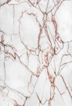 

white marble background baby cake pet art fabric photo studio props vinyl photography abstract texture newborn backdrops XT-6734