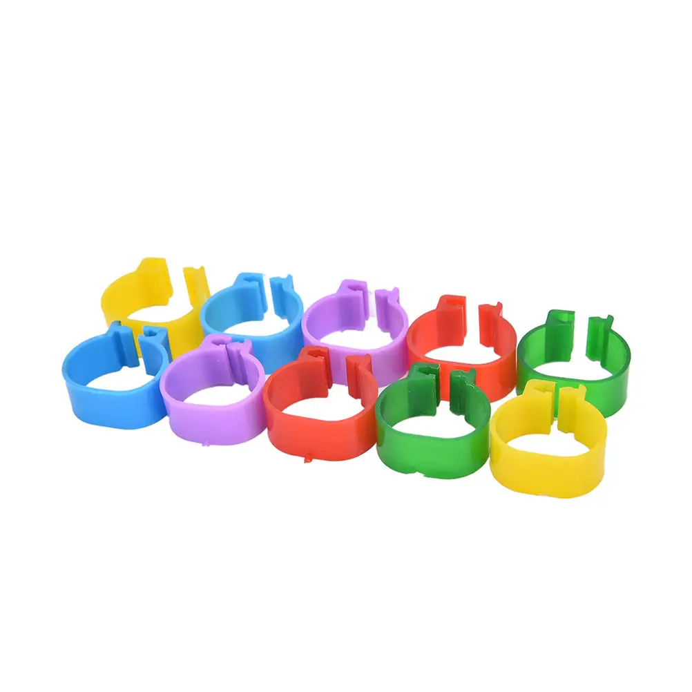 

100 pcs/lot Chicken Leg Bands Chicken Poultry Rings 5 Colors Pigeon Geese Quail Bird Ring Carry tools Feeding Logo 16 mm