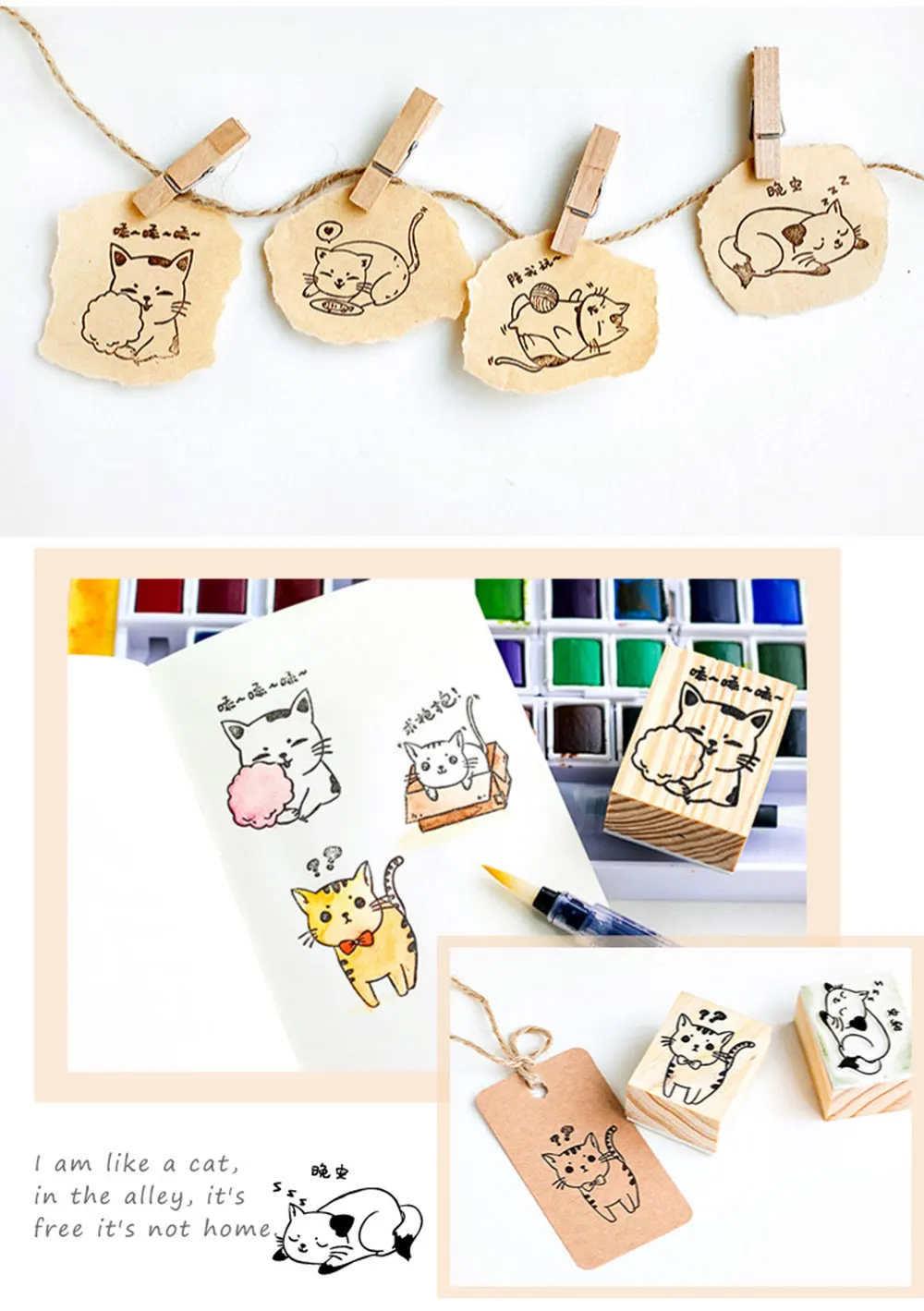 cat_d_ (7)