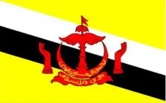 

Brunei Flag National Polyester Banner Flying150* 90cm 3ft x 5ft flag All over the world Worldwide outdoor