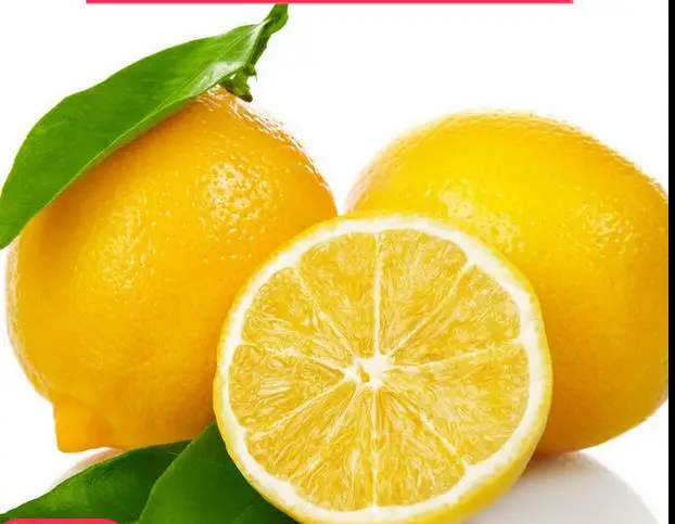 Portal Cool 10 Semillas Semillas De Lima Kaffir Fa Cil De Cultivar Y Fragante Orga Nica Fuente De Hojas De La Cal Plantas Semillas Y Bulbos Jardin Appytherapy Com