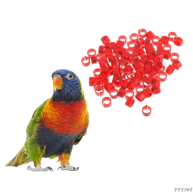 100 Pcs 8mm Identify Ring Carrier Pigeon Training Supplies