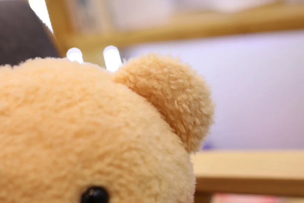 25 см/30 см Высокое качество Kawaii плюшевый мишка плюшевые игрушки Мягкий мультфильм животных Одет плюшевый медведь Детские сопровождать игрушечные лошад