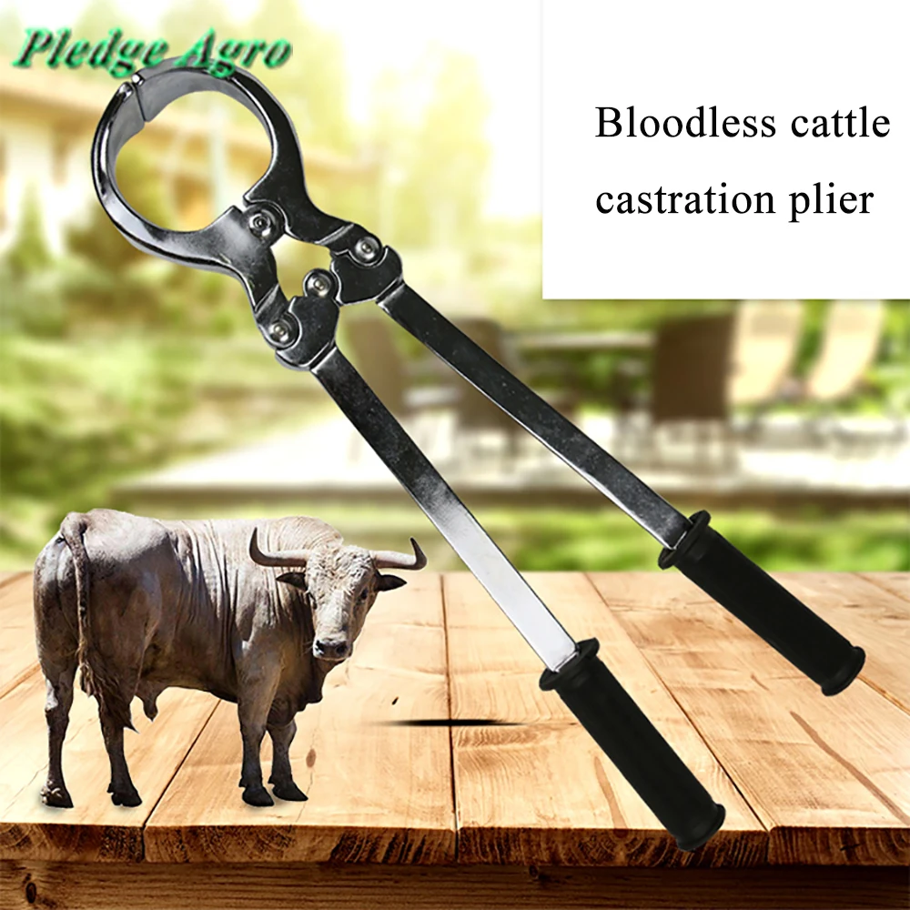burdizzo castrator castration knife pliers tool device veterinary instruments reimer emasculator bloodless clamp forcep  pincers