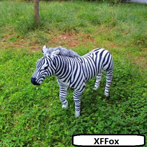 HTB1mfA_LFXXXXc1XFXXq6xXFXXXx