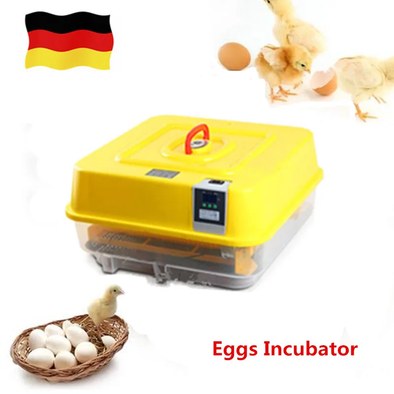 

Mini Home Farm Use Eggs Incubator Goose Duck Turkey Egg Incubation Machine Automatic Hatcher Equipment