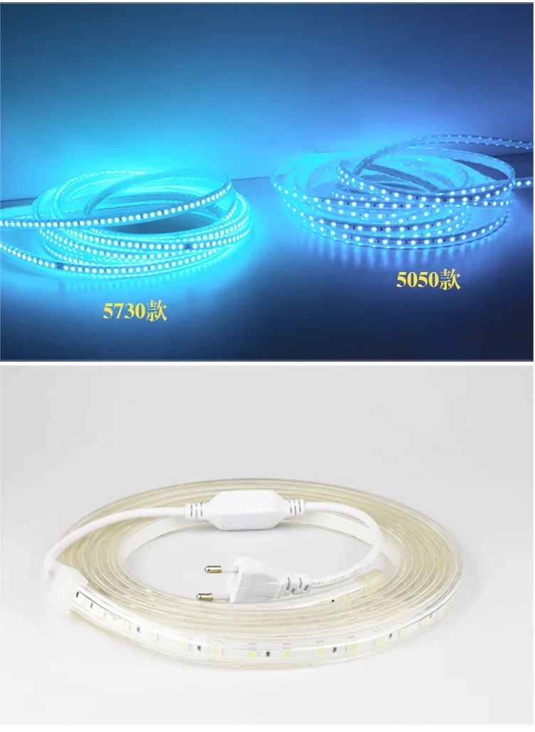 1000m Pack, Outdoor 220V LED Flexible Neon Stripe of Ocean Blue with 5730 Beads / 100m per Spool / 3 Years Warranty