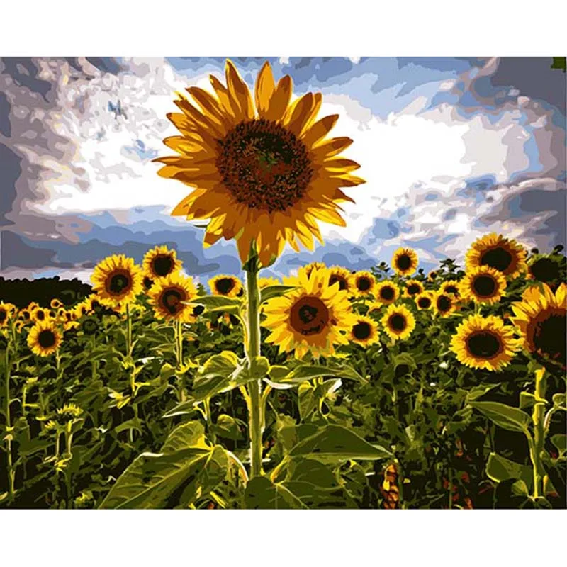 

Hot Selling Sunflower Picture On the Wall Acrylic Oil Painting By Numbers Home Decor Abstract Drawing Hand Unique Gifts DYH017