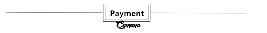 Payment