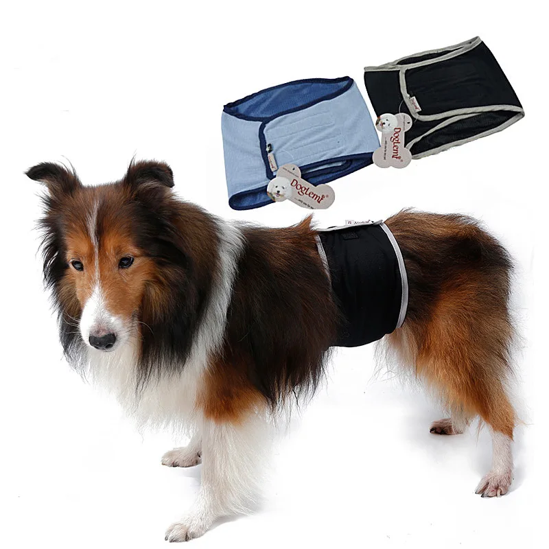 Buy 2017 new dogs Breathable mesh cloth Menstrual