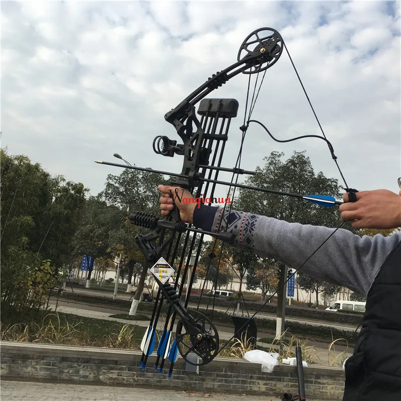 Outdoor Archery Equipment Hunting Compound Bow Sports Entertainment Competition Fitness Bow Composite Bow