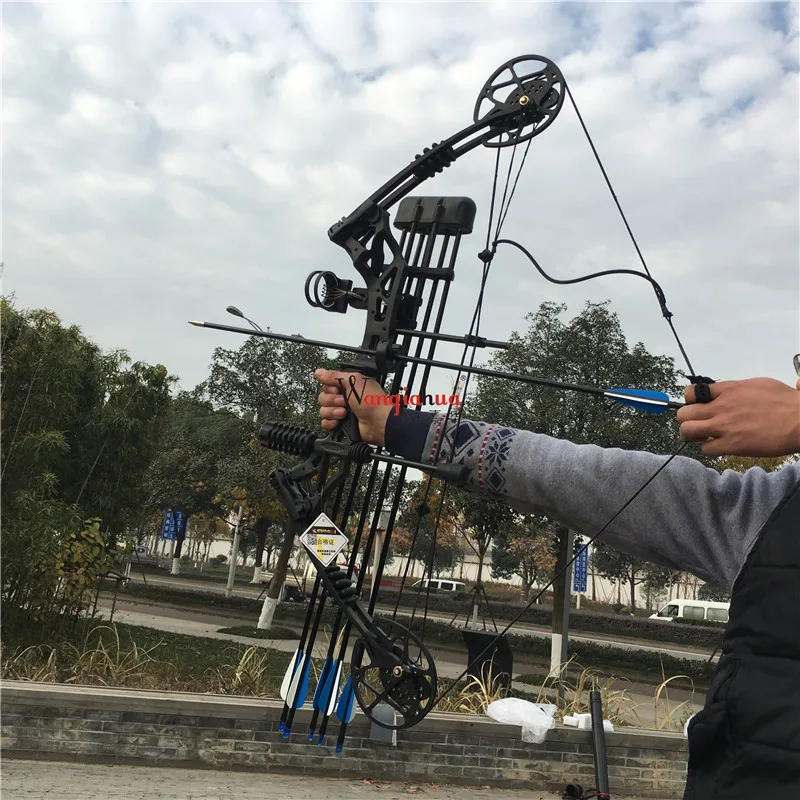 Equipamento de Tiro com Arco ao ar Livre Composto Caça Esportes Competição Entretenimento Fitness Arco 7 Esporte e Lazer