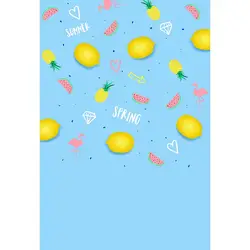 5X7ft винил свежие Синий Настенные сезон: весна–лето lemon фруктов ребенок новорожденный ребенок Фото Фон фотографии фонов