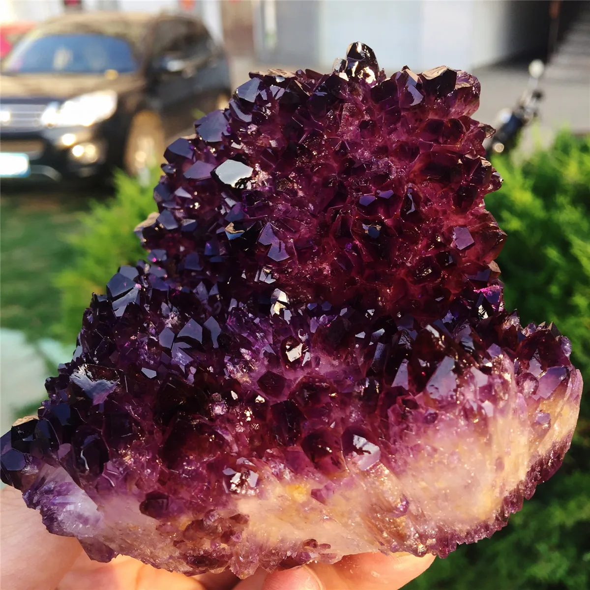 1pcs AAAA Natural Madagascar natural purple crystal flower- like crystal cluster quartz crystal raw stone gem