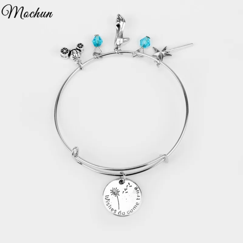 

MQCHUN Cinderella Wishes Do Come True Shoe Slipper Godmother Charm Wire Bangle Bracelet