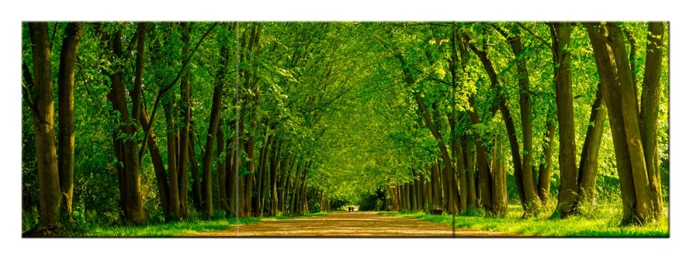 road_to_heaven50-50=3-01