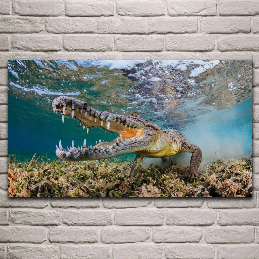 Крокодиловая мордочка клыки подводные рептилии дикая природа фотография