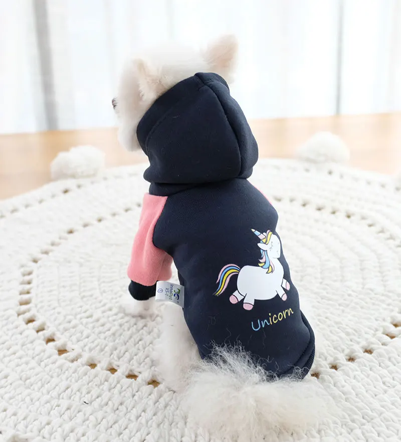 coat medium dog