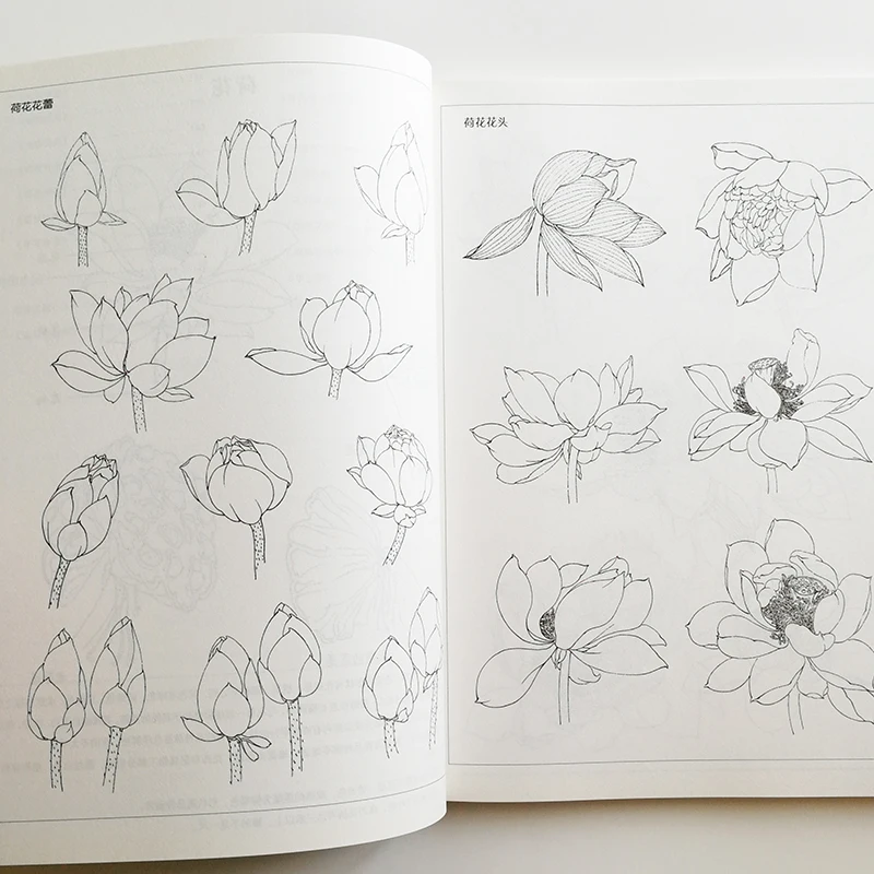 Lotus Line Drawing Collection from Famous Chinese Painters Art Textbook for Demonstration Coloring Book for Adults Lotus Line Drawing Collection from Famous Chinese Painters Art Textbook for Demonstration Coloring Book for Adults