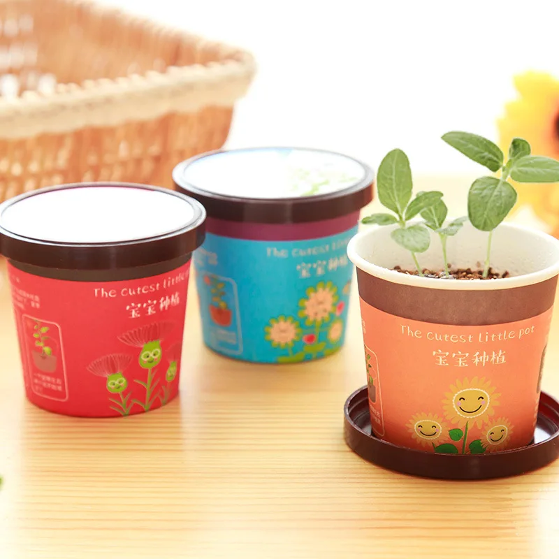 Creative 6-Kinds of Bonsai Included Seedsplants for Children Indoor Plants Flowers Bonsai Flower Plant Plantas for Home & Garden Creative 6-Kinds of Bonsai Included Seedsplants for Children Indoor Plants Flowers Bonsai Flower Plant Plantas for Home & Garden