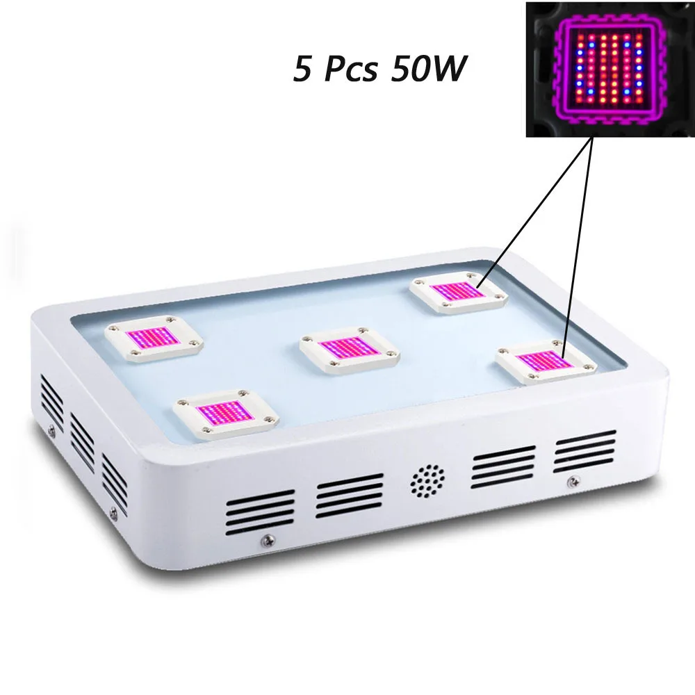 COB plant grow light (61)