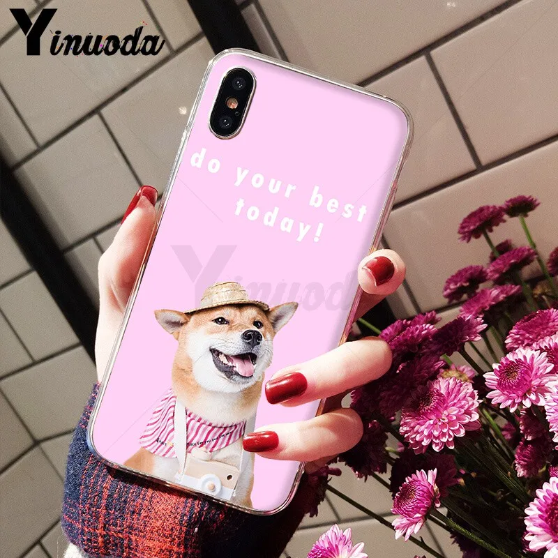 Animal Shiba Inu
