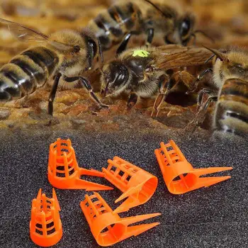 

50Pcs Beekeeping Bee Rearing Cup Queen Bee Tool Beekeepers Equipment DIY Anti-bite Wangtai Wangtai Protective Cover