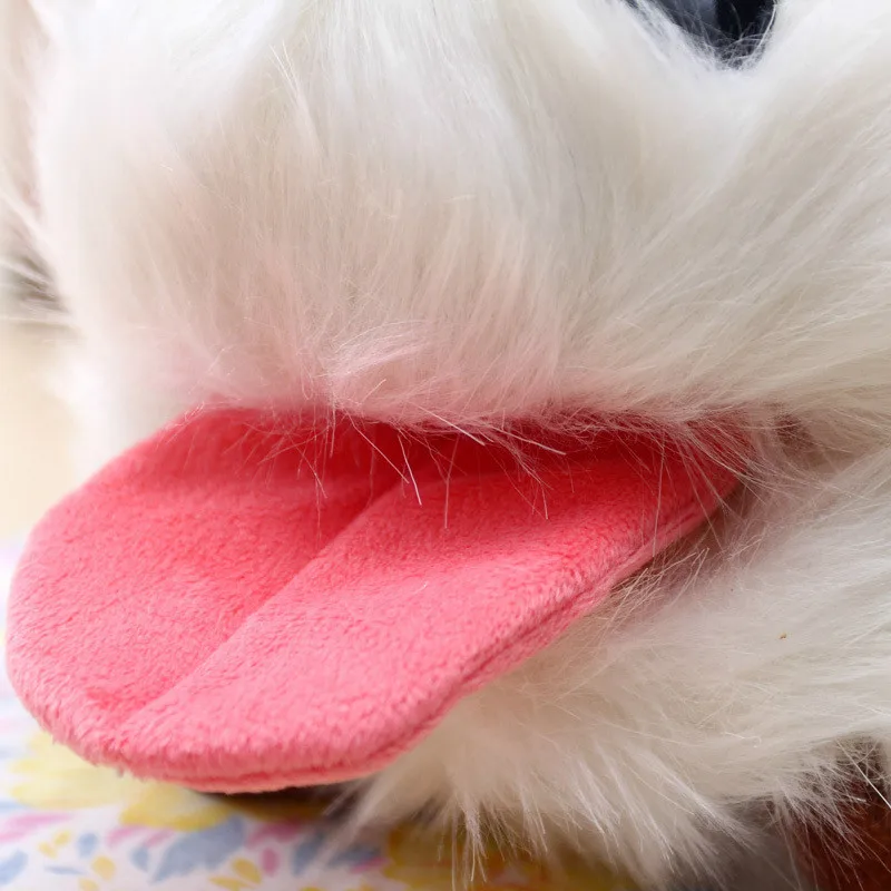 HTB1rl2JMpXXXXcgXXXXq6xXFXXXO