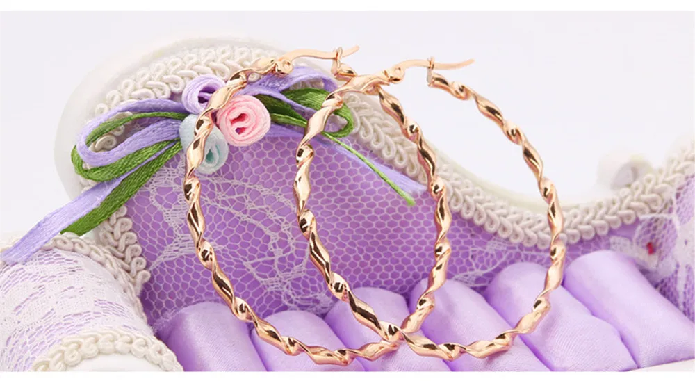 Корейские серьги для женщин Мода Круглый витой большой серебряный розовое золото кольцо серьги круг нержавеющая сталь ювелирные изделия для женщин