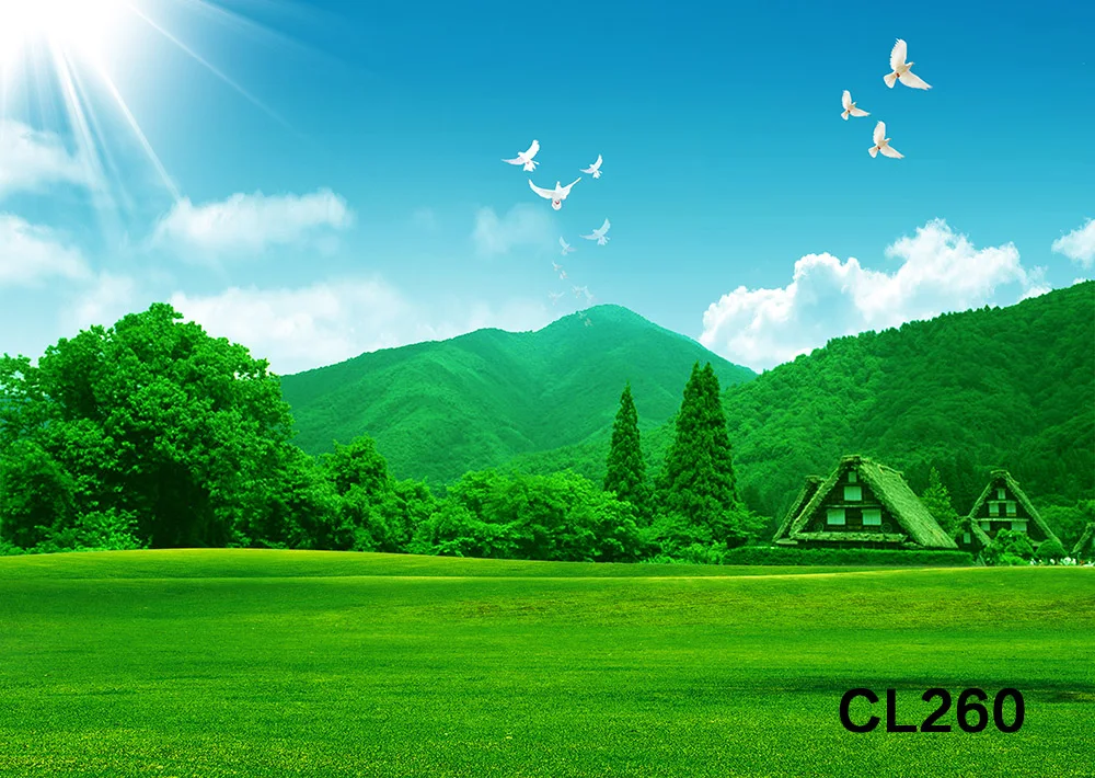 CL260