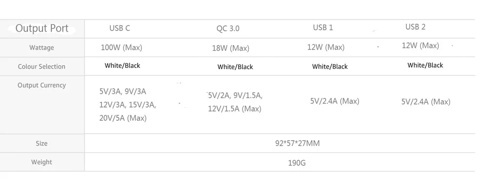 100W PD CHARGER special