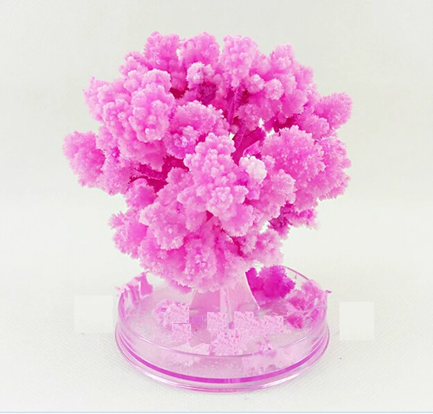 

2019 10x8cm Magical Artificial Grow Sakura Trees Christmas Growing Paper Tree Japan Desktop Cherry Blossom Magic Kids Toys 2PCS