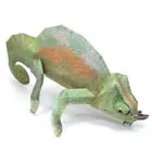 kamereon2