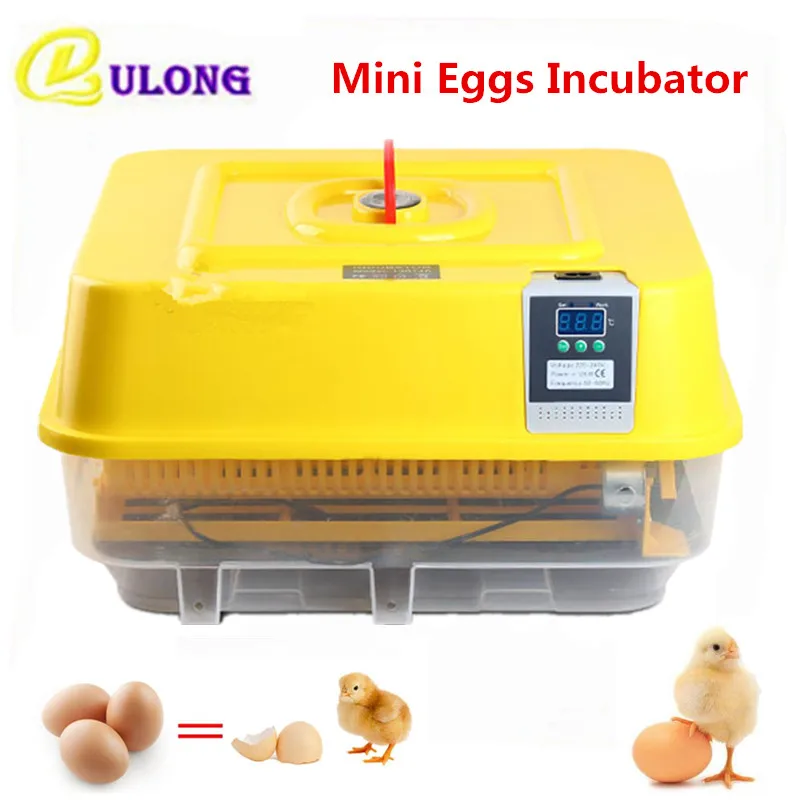 

39 Eggs Incubator Household Small Auto Hatchers With Temperature Control Digital Intelligent Hatching Equipment