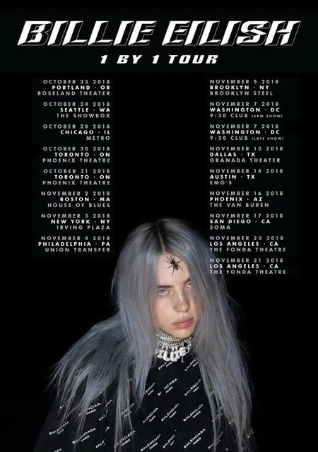 BILLIE EILISH Dont Smile At Me Шелковый постер декоративная стена картина 24x36 дюймов | Дом и сад