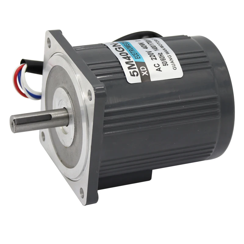 AC220V 50HZ 40W 1400/2800RPM Permanent Magnet Speed Control Motor Suitable for mechanical equipment power tools DIY etc. | Обустройство