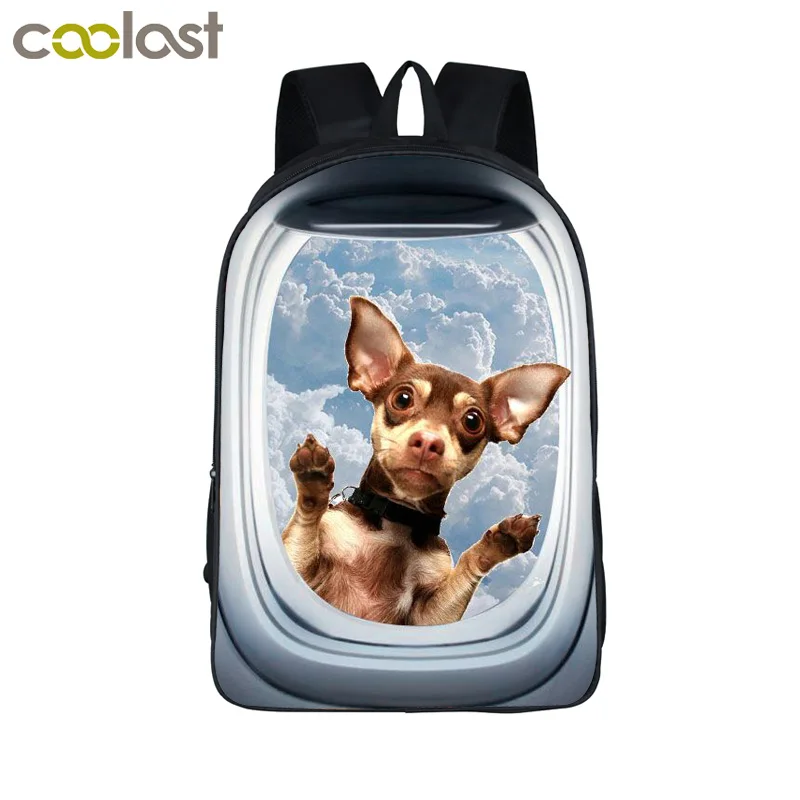 puppy backpack for school
