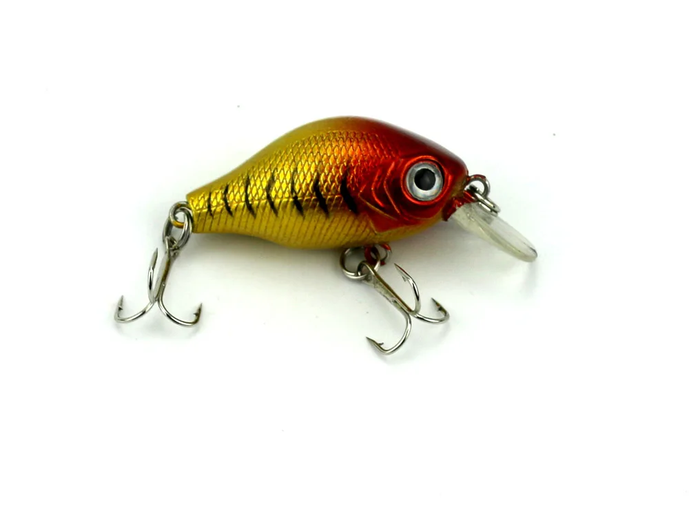 CB010 BAIT (6)
