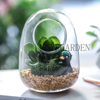 

Hand Blown Glass Egg Shaped Round Cute Miniature Micro Landscape Modern Minimalist Trendy Planter Terrarium Gift