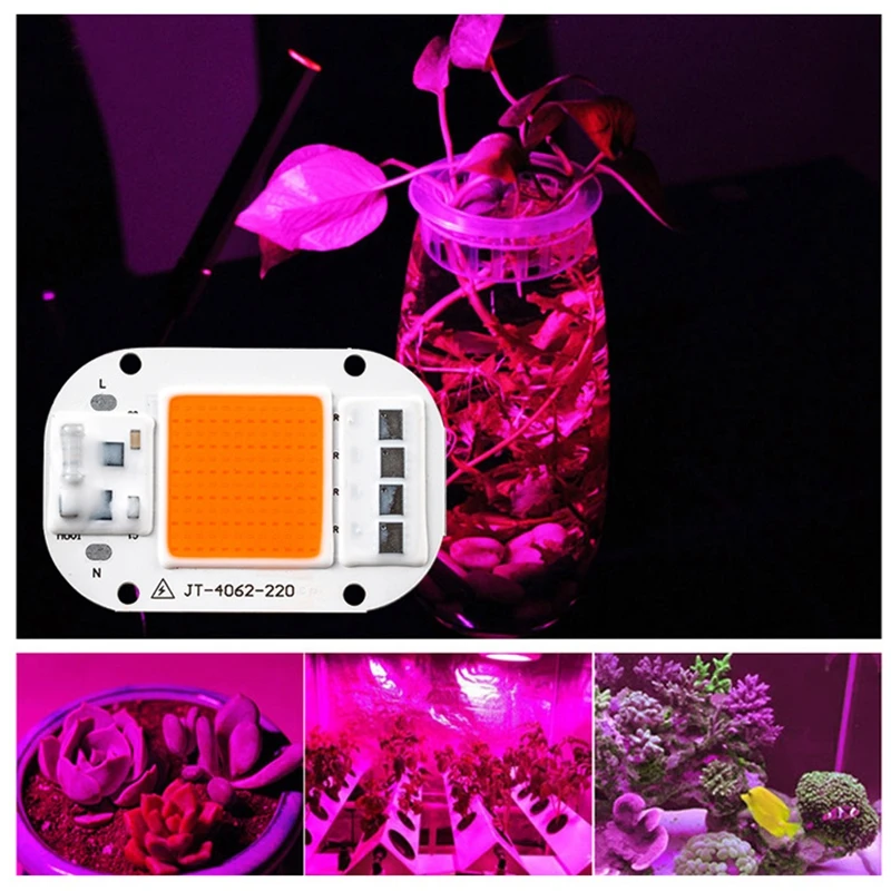 

AC 220V Led Grow Light Chip Full Spectrum Greenhouse LED Growth Lamp 10-50W Diode Promote Seedlings Plants Growing