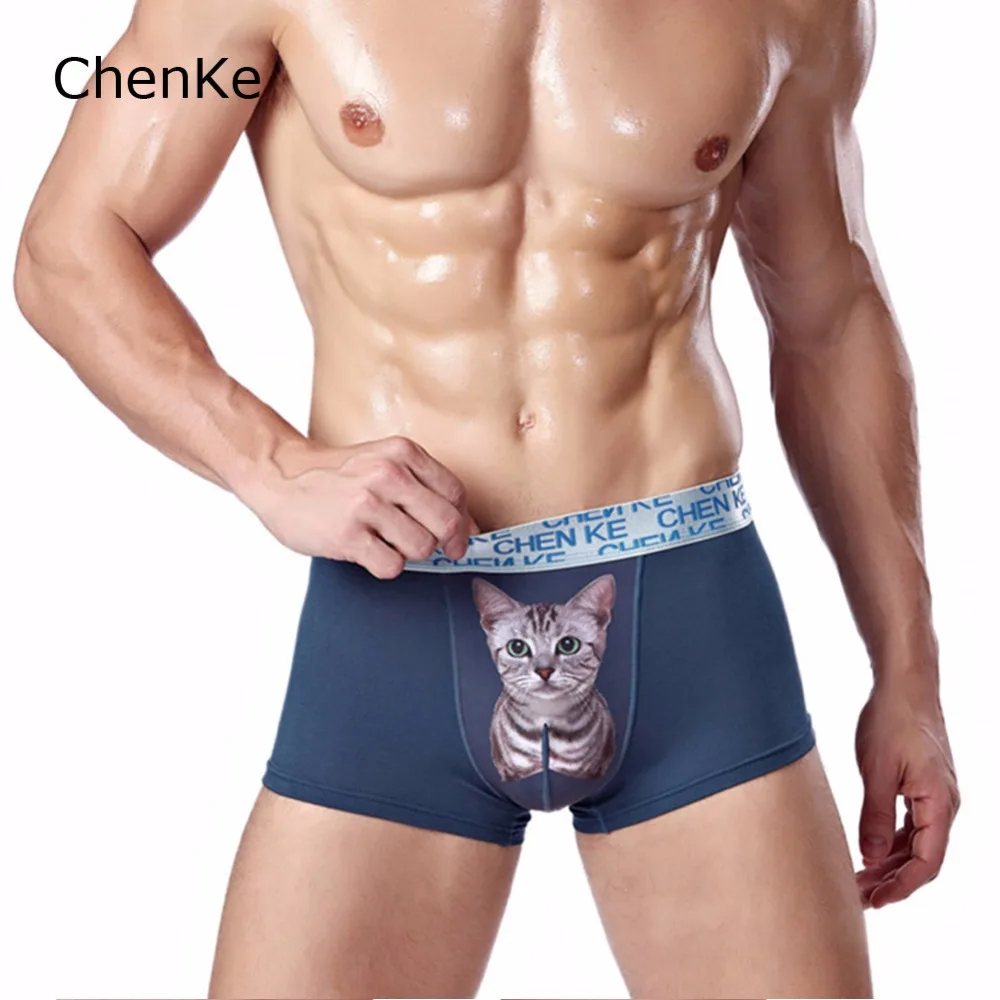 

ChenKe365 Men's Boxer Shorts Cat Puma Skull Print Cool Transparent Mens Sexy Underwear Gay Boxers Marks Male Underwear