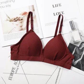 

Summer Women Seamless Bra Sexy Crop Top Bra Push Up Padded Wireless Bra Bralette