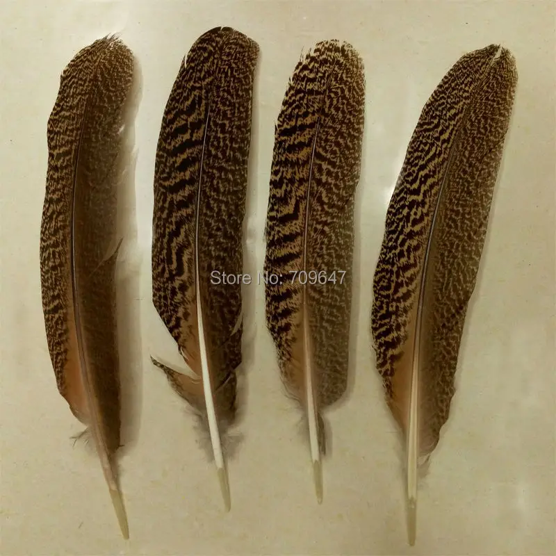 

20Pcs/lot!30-35cm Peacock Wing Quills, Large Mottled Peacock Feathers,Peacock Wing Feathers,peacock feathers