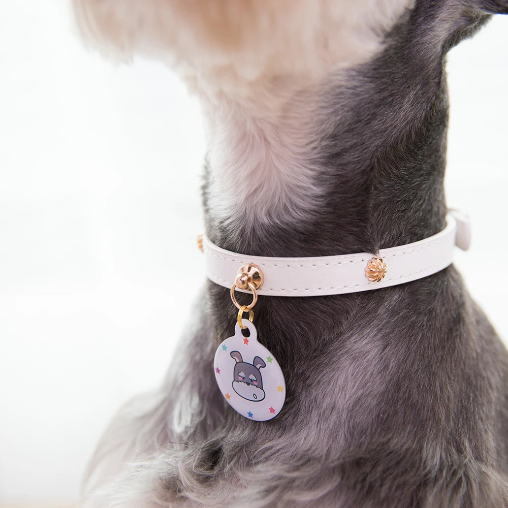 Hipidog по индивидуальному заказу с гравировкой для домашних животных Dog Tag