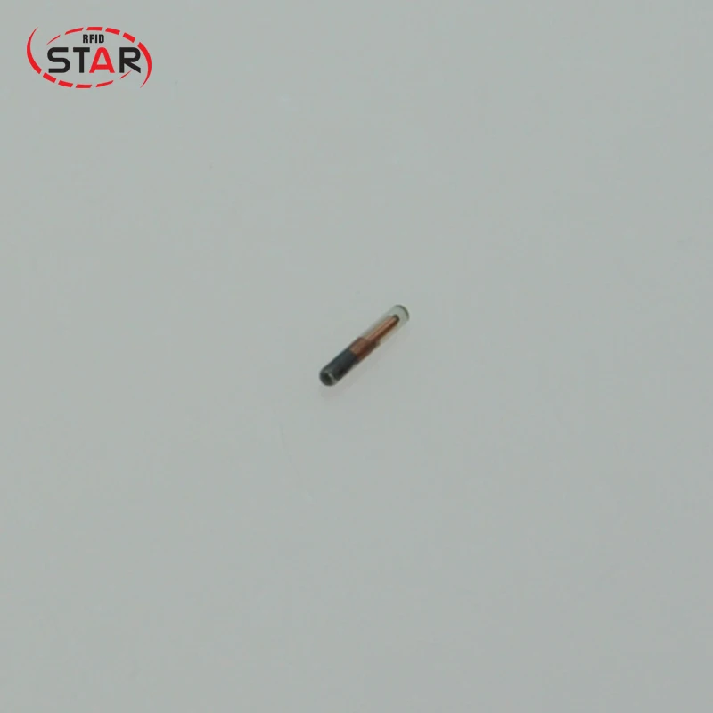 microchip transponder chip para pequenos animais 03